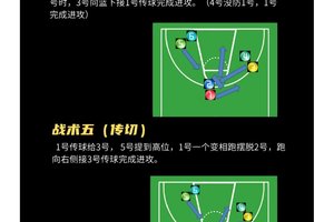  如何在篮球训练中有效运用战术？掌握两种关键策略